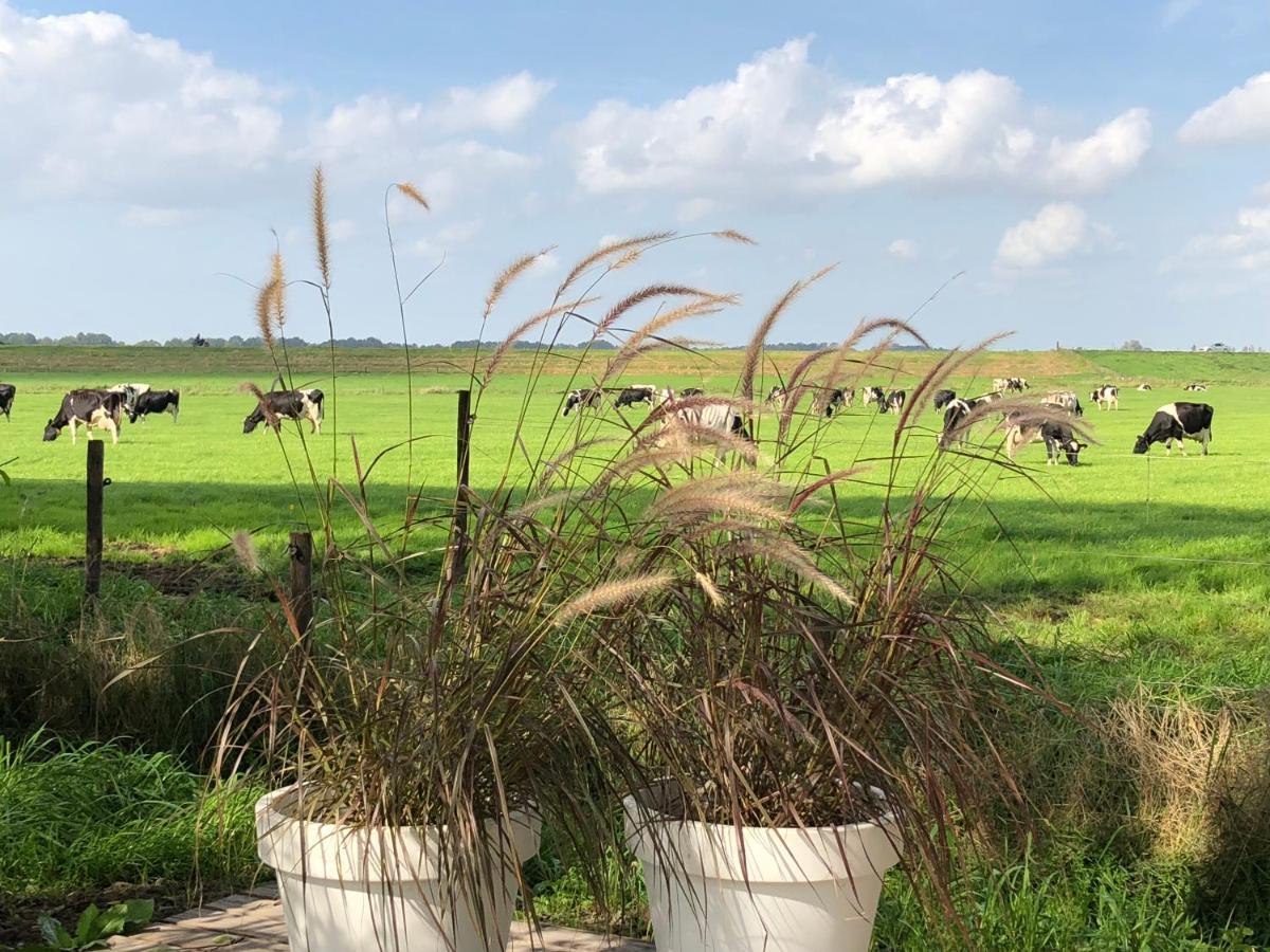 Sint Jansklooster Het Leeuwterveld B&B 외부 사진