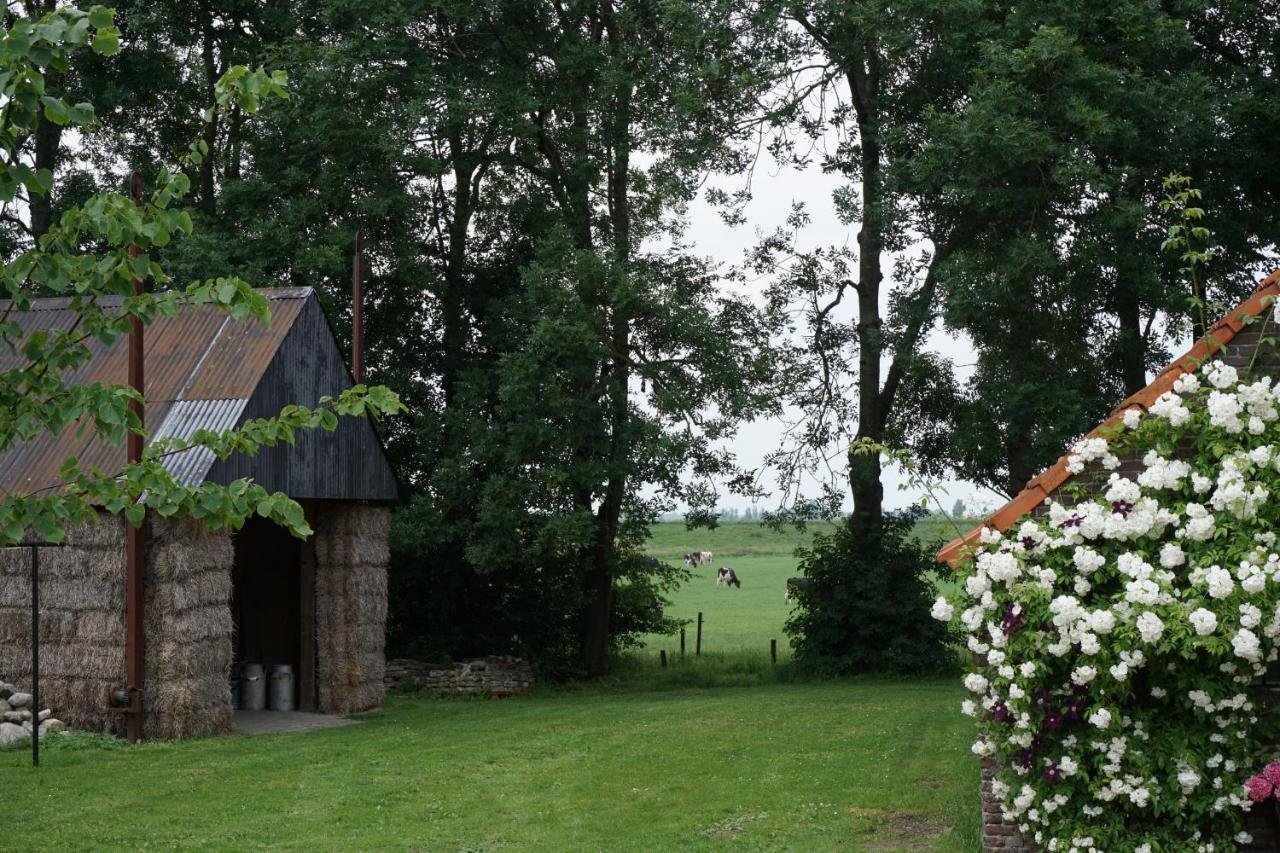 Sint Jansklooster Het Leeuwterveld B&B 외부 사진