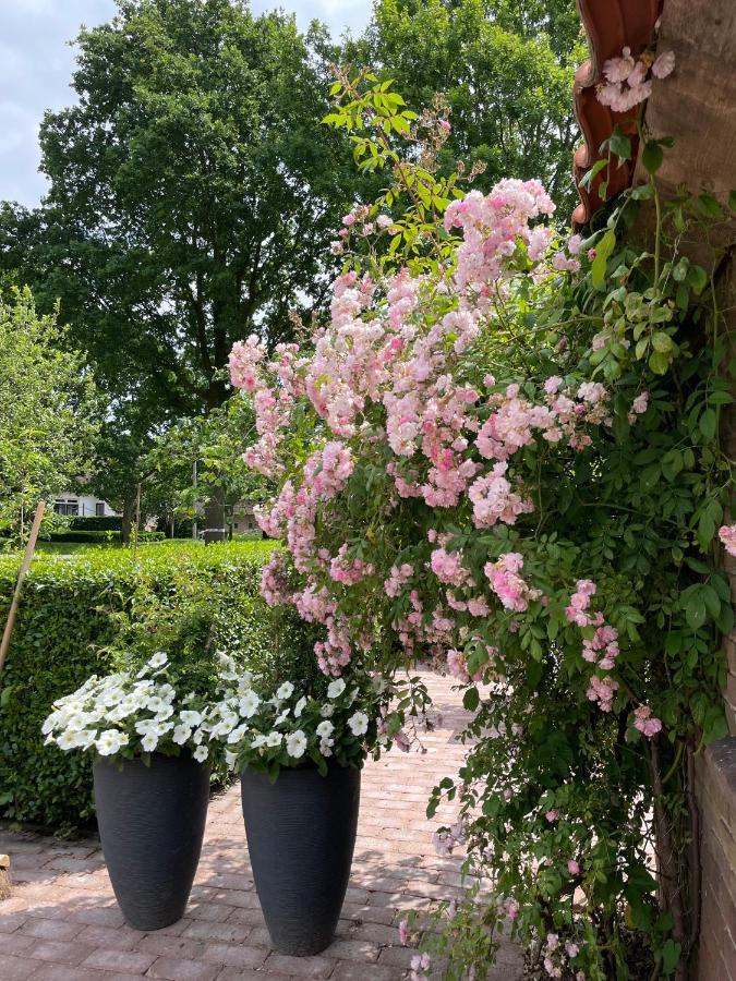 Sint Jansklooster Het Leeuwterveld B&B 외부 사진